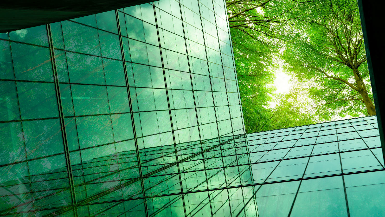 Sustainability of eSignatures